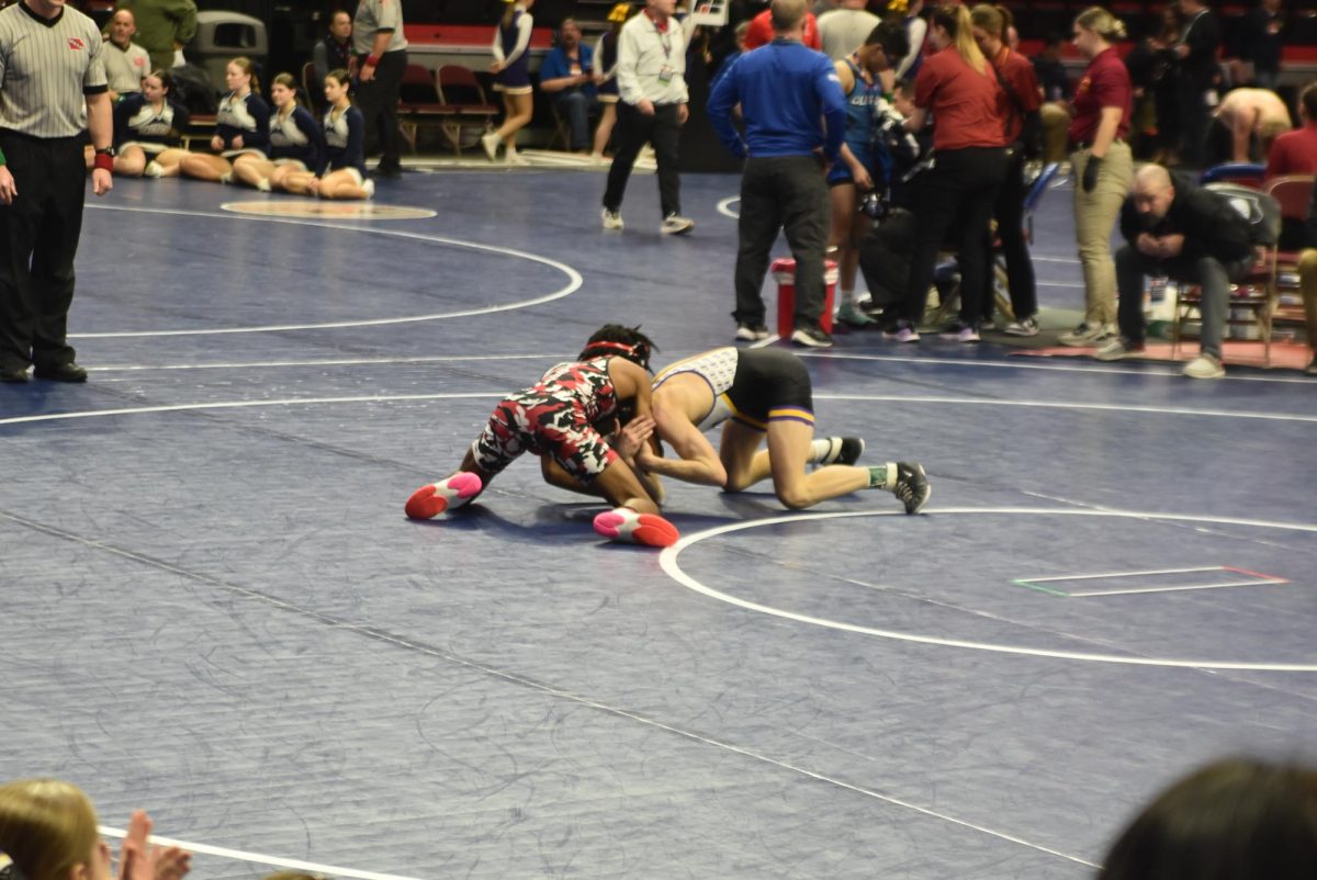 Photo+gallery%3A+2024+State+Wrestling