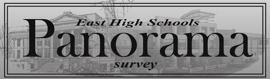 The Panorama Survey