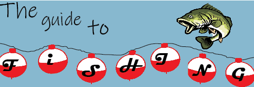 The guide to fishing